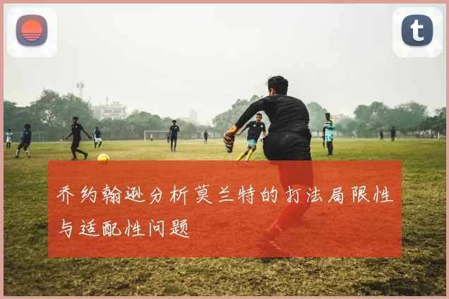 乔约翰逊分析莫兰特的打法局限性与适配性问题