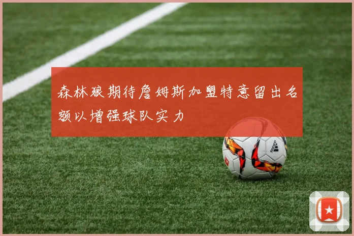 森林狼期待詹姆斯加盟特意留出名额以增强球队实力