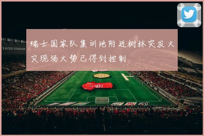 瑞士国家队集训地附近树林突发火灾现场火势已得到控制